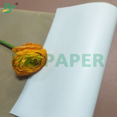 পুনর্ব্যবহারযোগ্য ডাবল সাইড সিলিকন লেপযুক্ত রান্নার কাগজের শীট
