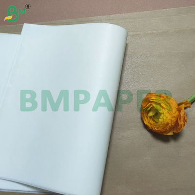 পুনর্ব্যবহারযোগ্য ডাবল সাইড সিলিকন লেপযুক্ত রান্নার কাগজের শীট
