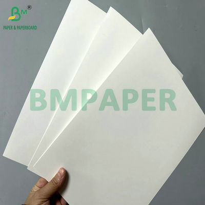 300g 350g উচ্চ মানের মুদ্রণের জন্য সাদা লেপযুক্ত ভাঁজ কার্টন বোর্ড 65 X 90cm