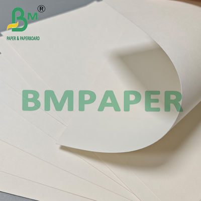 210gsm 230gsm বায়োডেগ্রেডেবল হট কফি চা কাপ কাগজ কাঁচামাল