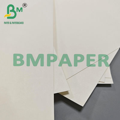 210gsm 230gsm বায়োডেগ্রেডেবল হট কফি চা কাপ কাগজ কাঁচামাল