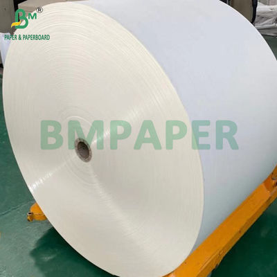 240gsm + 18g PE লেপা কাপস্টক পেপার ফর ট্রে ম্যাটস জলরোধী 650mm