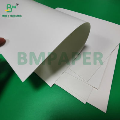 240gsm + 18g PE লেপা কাপস্টক পেপার ফর ট্রে ম্যাটস জলরোধী 650mm