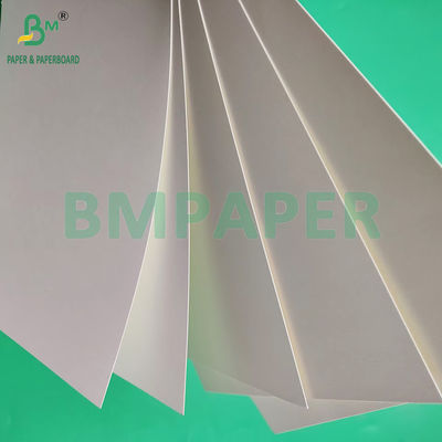 210gsm 230gsm 15g PE ম্যাট লেপযুক্ত সাদা কাপের কাগজ কফি কাপ তৈরির জন্য