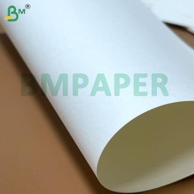 ফুড গ্রেড নুডল বোল পেপার বোর্ড 700mm x 1000mm 200g + 20g PE লেপযুক্ত