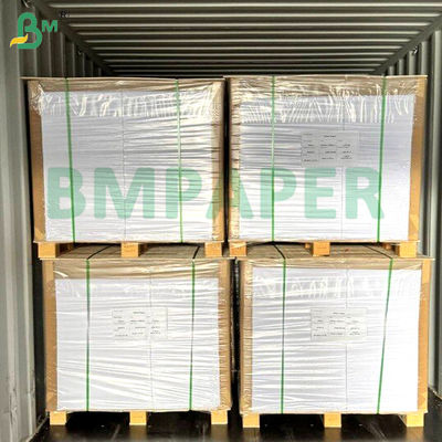 ফুড গ্রেড নুডল বোল পেপার বোর্ড 700mm x 1000mm 200g + 20g PE লেপযুক্ত