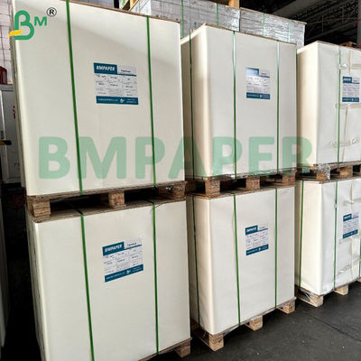 180gsm 200gsm জলীয় প্লাস্টিক মুক্ত কাগজ কাপস্টক কাগজ তাপ প্রতিরোধী 120°C জন্য কাগজ কাপ বাটি নিতে কন্টেইনার