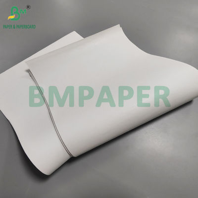 48gsm 55gsm থার্মাল পেপার রোল পিওএস প্রিন্টারের জন্য 480mm x 12000m তাপ প্রতিরোধী