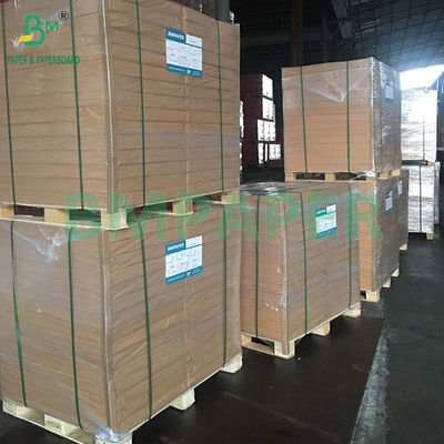 140LB সাদা স্বচ্ছ টেক্সচার শিল্পী-গুণমান জলরঙ কাগজ 22"X30"