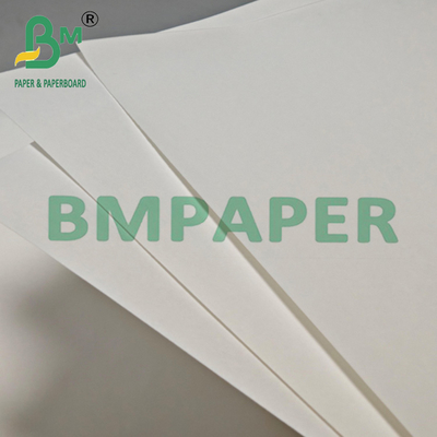 বেকারি ব্যাগের জন্য 60gsm গ্রীজপ্রুফ ফুড গ্রেড সাদা ক্রাফ্ট পেপার 12" x 1000 ফুট