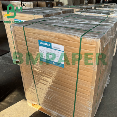 বেকারি ব্যাগের জন্য 60gsm গ্রীজপ্রুফ ফুড গ্রেড সাদা ক্রাফ্ট পেপার 12" x 1000 ফুট