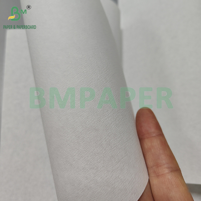 35gsm 50gsm সাদা এবং বাদামী বাঁশ পাল্প কফি ফিল্টার পেপার ফিল্টার কফির জন্য