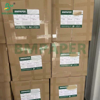 ফুড গ্রেড ব্লিচড অব্লিচড 40GSM 50GSM কফি ফিল্টার পেপার রোল 1200mm