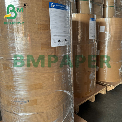 21 - 28gsm 440mm খাদ্য সুরক্ষিত কম্পোস্টেবল ব্রাউন কফি ফিল্টার পেপার রোল