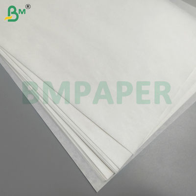 ফল ও শাকসব্জি সুরক্ষা ব্যাগ কাগজ জলরোধী দূষিত এবং পাখি থেকে দূরে