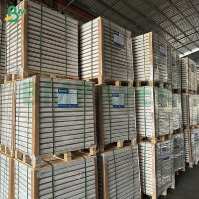 55gsm 60gsm এনসিআর কার্বনলেস স্ব-নকল কাগজ সাদা বর্ধিত শীট 70x100cm 61x86cm