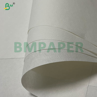 50gsm Bleached Porous Filter Paper For Electric Drip Coffee Makers