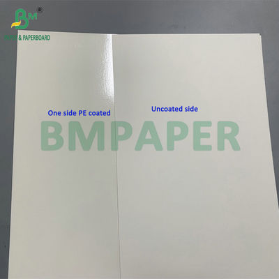 One Side PE Coated Waterproof Oilproof 300g Printable Cardboard Used For Paper Bowls