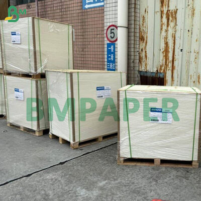 খাদ্য-গ্রেড বাটি এবং থালা বিশেষ কাগজ / প্লেট কাগজ, পিইটি লেপযুক্ত