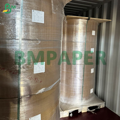 খাদ্য-গ্রেড বাটি এবং থালা বিশেষ কাগজ / প্লেট কাগজ, পিইটি লেপযুক্ত