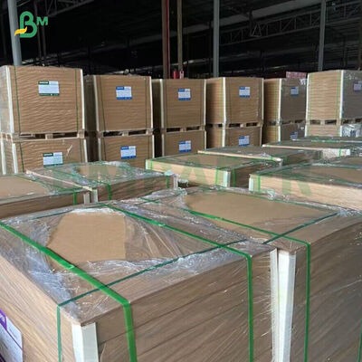 পিই / পিএলএ লেপা কাপ স্টক পেপার সহ 260GSM+ 18GSM এফডিএ বিঘ্নিত বাঁশের ক্রাফ্ট পেপার