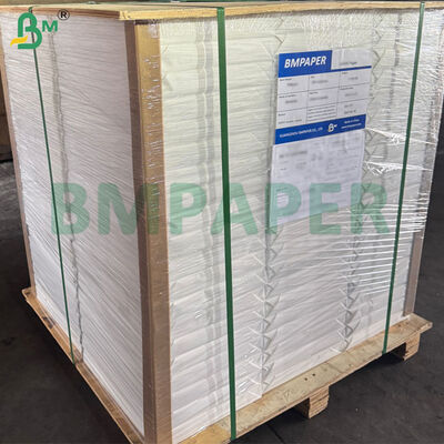 100% কটন রাফ টেক্সচার ওয়াটারকালার পেপার শিল্পী চিত্রকলার জন্য 300gsm 70cm X 50cm সাইজ