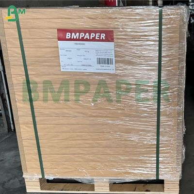 ৪০ গ্রাম গ্রীসপ্রুফ ফুড র‍্যাপিং পেপার কিট ৫/৭ সাদা ব্লিচড ২৪x৩৬ ইঞ্চি