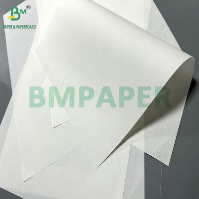 পরিষ্কার মুদ্রণযোগ্য 40 গ্রাম সাদা স্বাস্থ্যসেবা কাগজ চিকিৎসা নির্দেশাবলীর জন্য 65 x 86cm