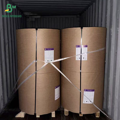 38gsm 40gsm Bleached Oil-proof Paper Kit 5 Kit 7 for Fast Food Packaging