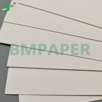 ফুড গ্রেড ফুড কনটেইনার পেপার শীট 190gsm + পিই লেপ