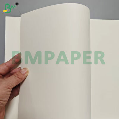 ফুড গ্রেড ফুড কনটেইনার পেপার শীট 190gsm + পিই লেপ