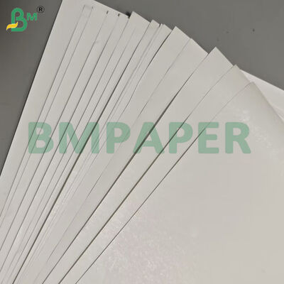 55gsm কাস্টম রোল প্রস্থ তাপীয় কাগজ লেবেল জন্য জাম্বো রোলস