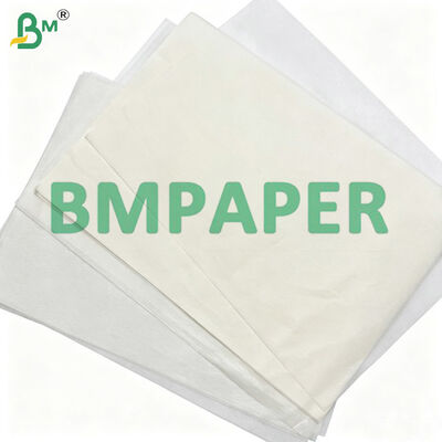 উচ্চ ভেজা শক্তি সহ টর্টিলা র‍্যাপ পেপার, 25gsm 30gsm এবং 36 ইঞ্চি রোল