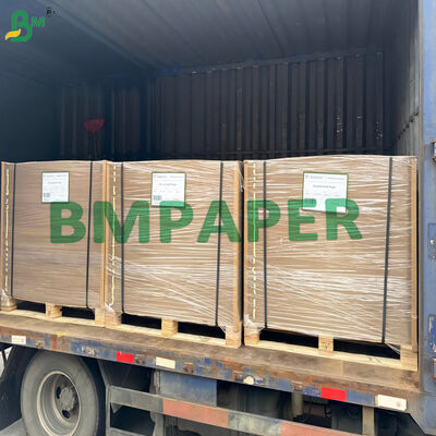 Sugar Cane Paper Tree - Free Paper Uncoated with Vellum Finish