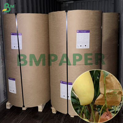 আমের জন্য ডাবল লেয়ার ওয়াটারপ্রুফ ৫৬gsm ফল সুরক্ষা মোড়ানো কাগজ ৪৫০মিমি